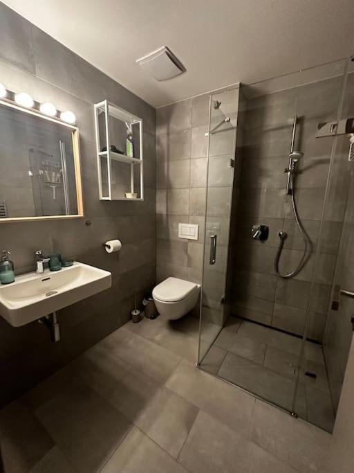 Ferienwohnung Horsky Apartman Achat Janov nad Nisou Exterior foto